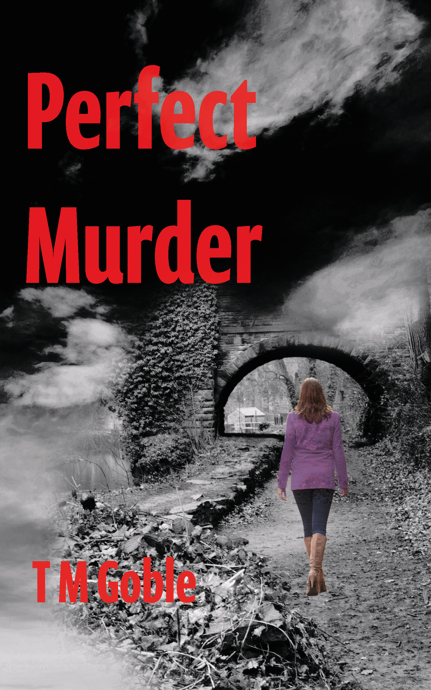 The Quiet Village and Murder cover
